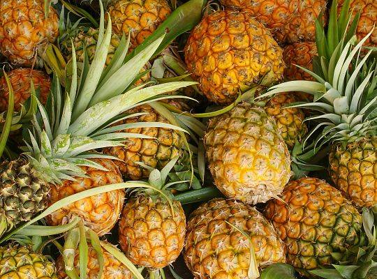 Ananas