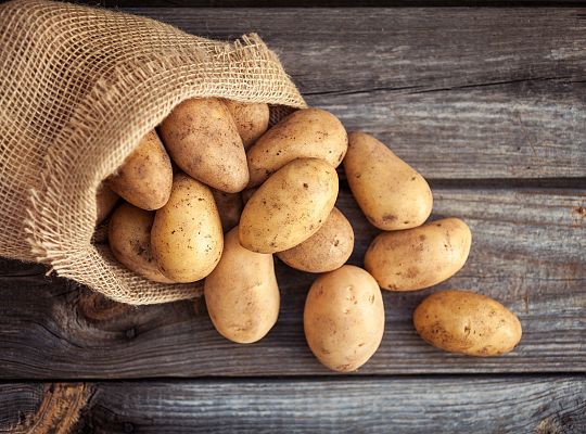 Ziemniak zimowy Jelly