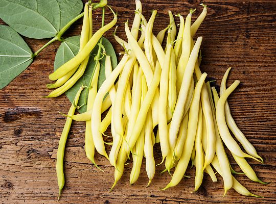 Fasolka szparagowa żółta