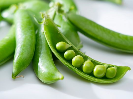 Groch cały świeży