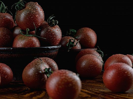 Pomidor czarny