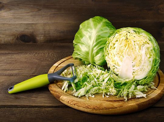 Kapusta młoda
