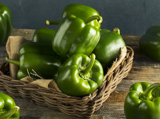 Papryka zielona